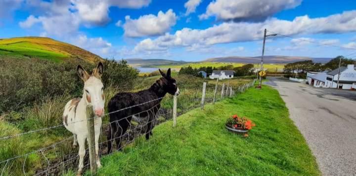 Cozy & Remote Hideaway Gintys Cottage Ross Port Extérieur photo