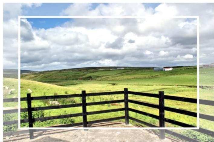 Cozy & Remote Hideaway Gintys Cottage Ross Port Extérieur photo